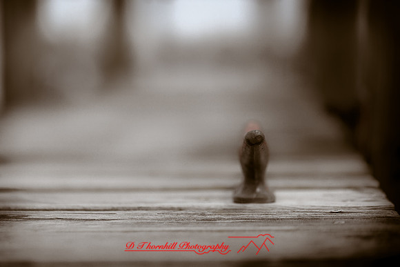 assorted_images-2012-114