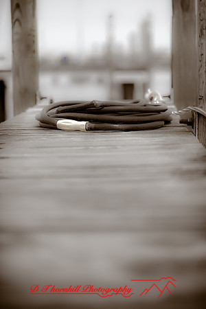 assorted_images-2012-117