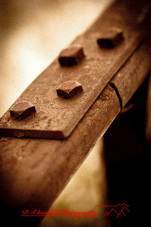 assorted_images-2012-096