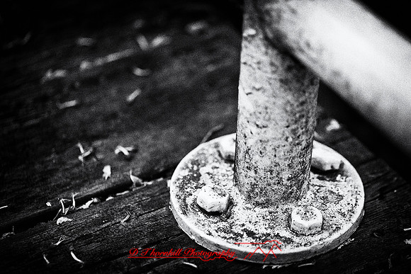 assorted_images-2012-101-nas
