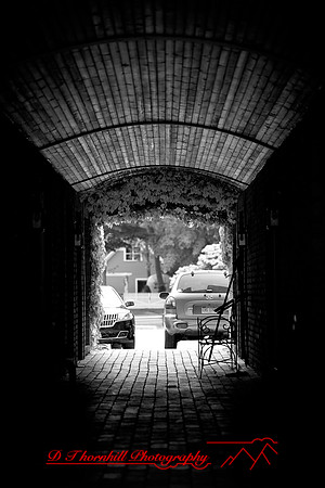 assorted_images-2012-106