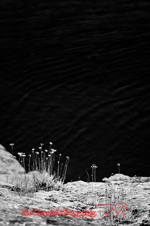 infrared_images-2012-063