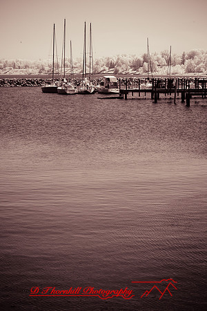 infrared_images-2012-066