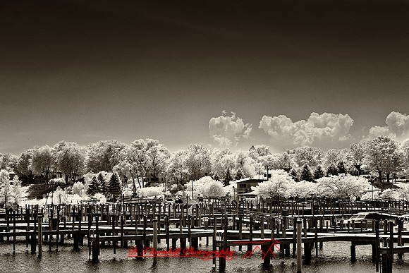 infrared_images-2012-065-nas