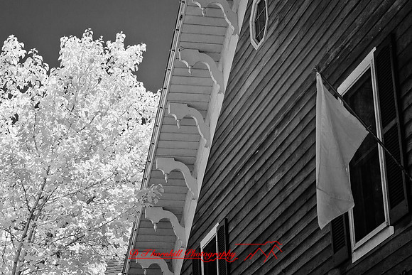 infrared_images-2012-045