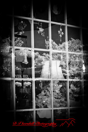 infrared_images-2012-047