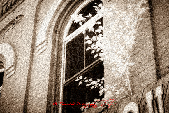 infrared_images-2012-048
