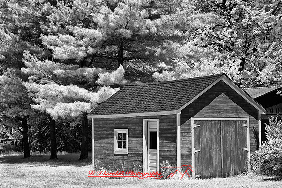 infrared_images-2012-052-nas