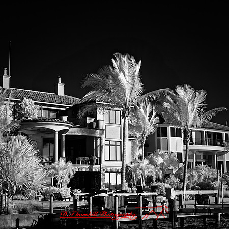 FL-March 2018-037_DxO