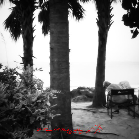 florida - pinhole - 2022 - 030