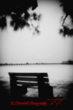 florida - pinhole - 2022 - 028-nik-ps-ai