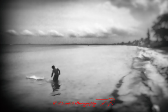 florida - pinhole - 2022 - 033-nik-ps-ai