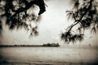 florida - pinhole - 2022 - 029-nik-ps-ai