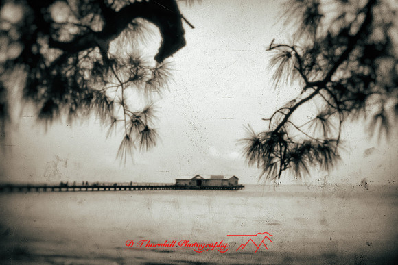 florida - pinhole - 2022 - 029-nik-ps-ai