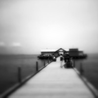 florida - pinhole - 2022 - 034-nik-ps-ai