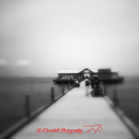 florida - pinhole - 2022 - 034-nik-ps-ai