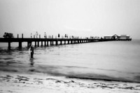 florida - pinhole - 2022 - 031-nik-ps-ai
