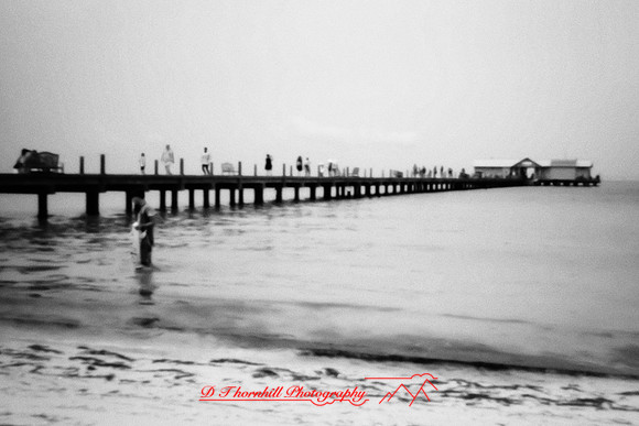 florida - pinhole - 2022 - 031-nik-ps-ai
