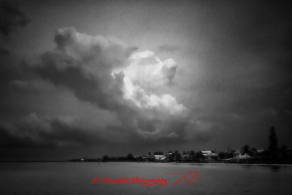 florida - pinhole - 2022 - 035-nik-ps-ai