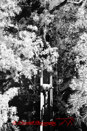 florida-2008-people-infrared_36-nik.jpg