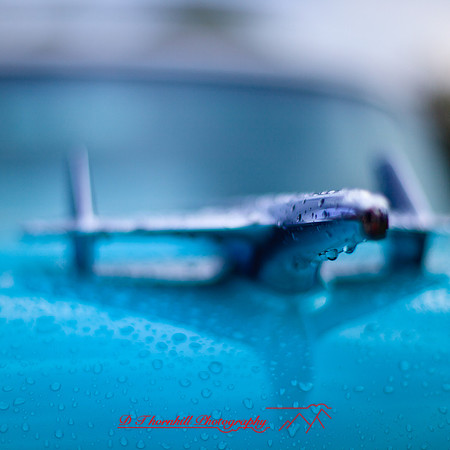 frankenmuth-car-show-2013-01