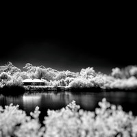 florida-2014-infrared-004-nas