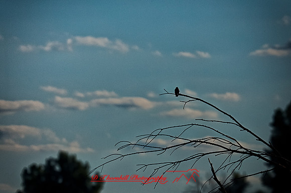 assorded_images-2012_13-01_HDR