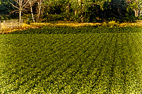 assorded_images-2012_15-01_HDR