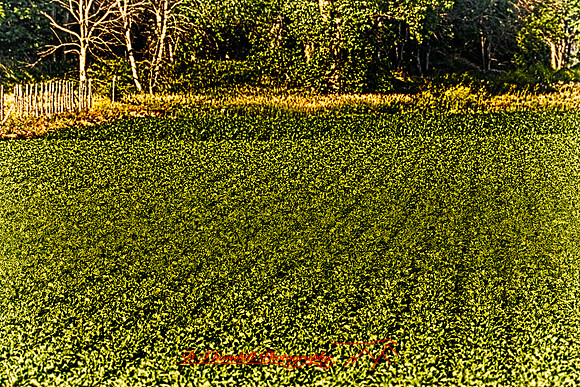 assorded_images-2012_15-01_HDR