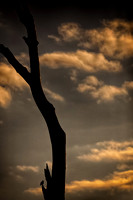 assorded_images-2012_12-01_HDR