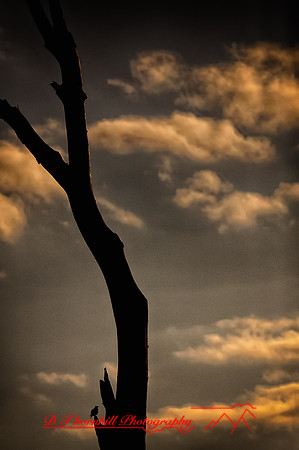 assorded_images-2012_12-01_HDR