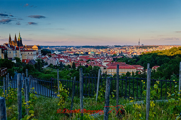 2025 - river cruise - 463_DxO