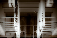 assorted_images-2012-132