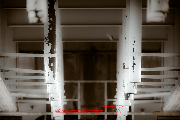 assorted_images-2012-132