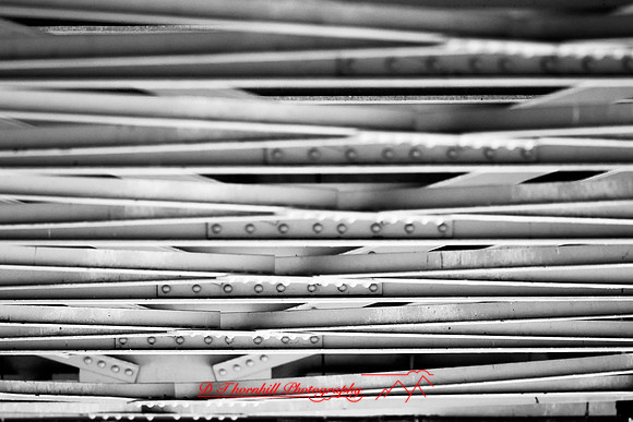 assorted_images-2012-133