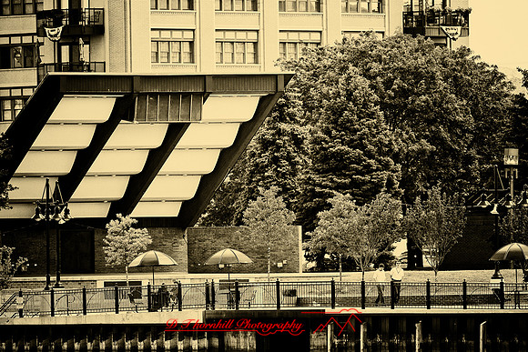 assorted_images-2012-134-nas