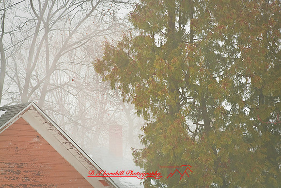 assorted_images-2008_43.jpg
