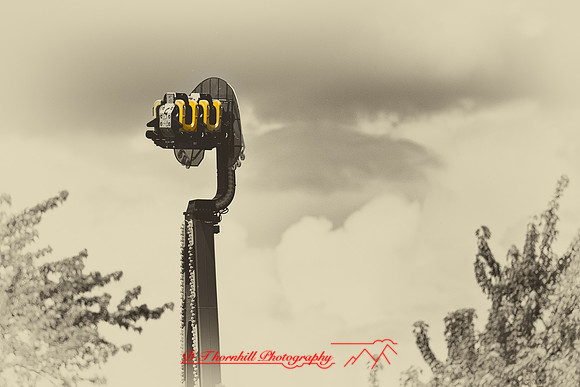 assorted_images-2012-136-nas