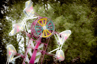 assorted_images-2012-138
