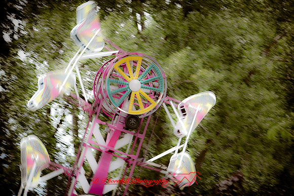 assorted_images-2012-138