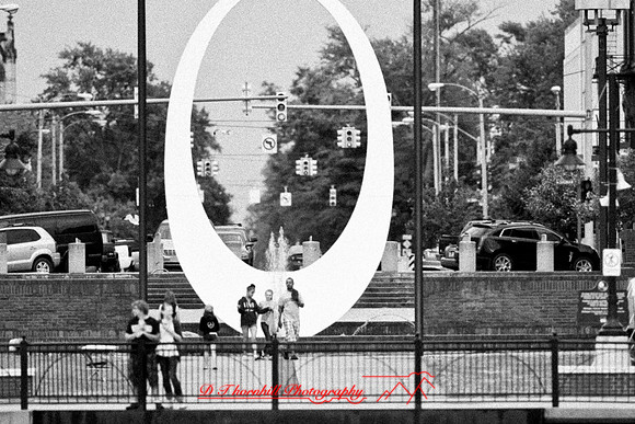 assorted_images-2012-140