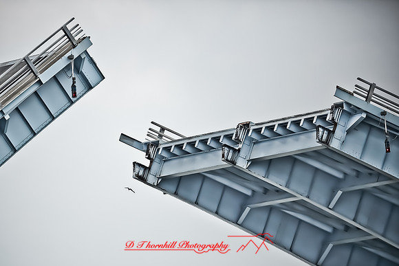 assorted_images-2012-119