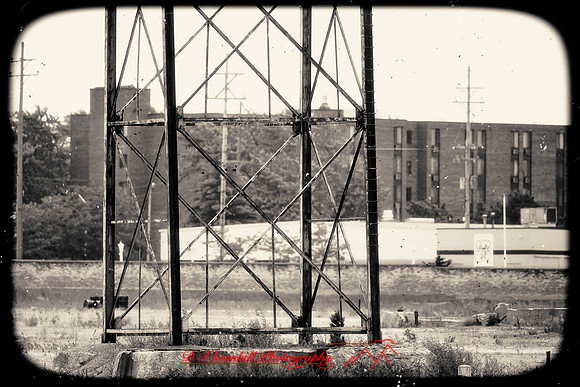assorted_images-2012-120-nas