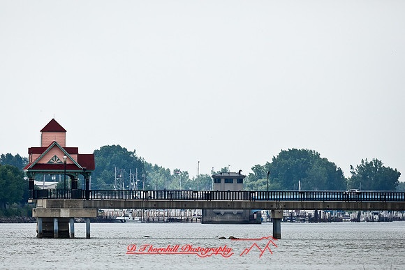assorted_images-2012-121