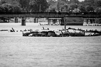 assorted_images-2012-122