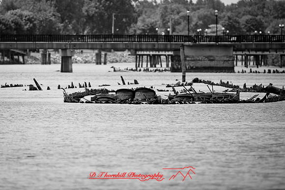assorted_images-2012-122