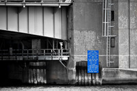 assorted_images-2012-123