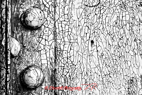 assorted_images-2012-128-nas