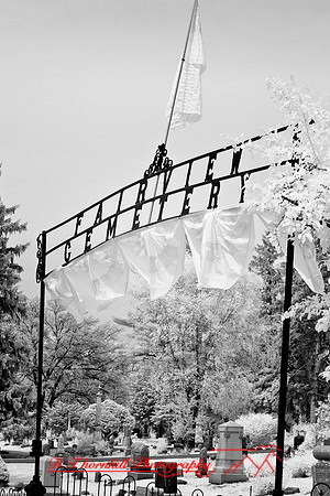 infrared-2008_049