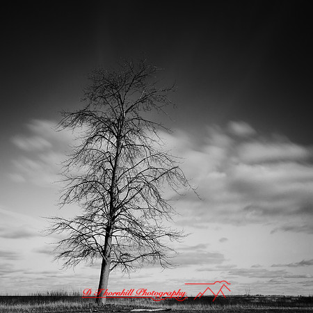 shadow-light-project-bay-city-state-park-2014-002